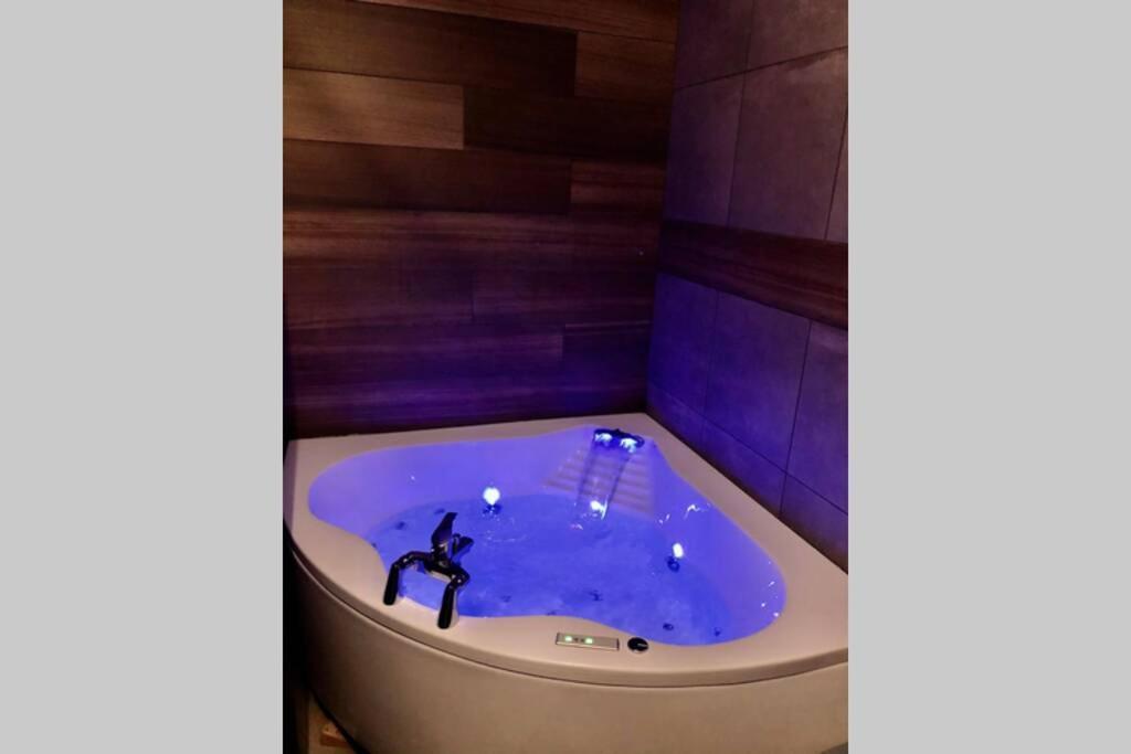 Studio Cocooning Spa, Lit Xxl, Cour Exterieure Le Puy-en-Velay Exterior photo